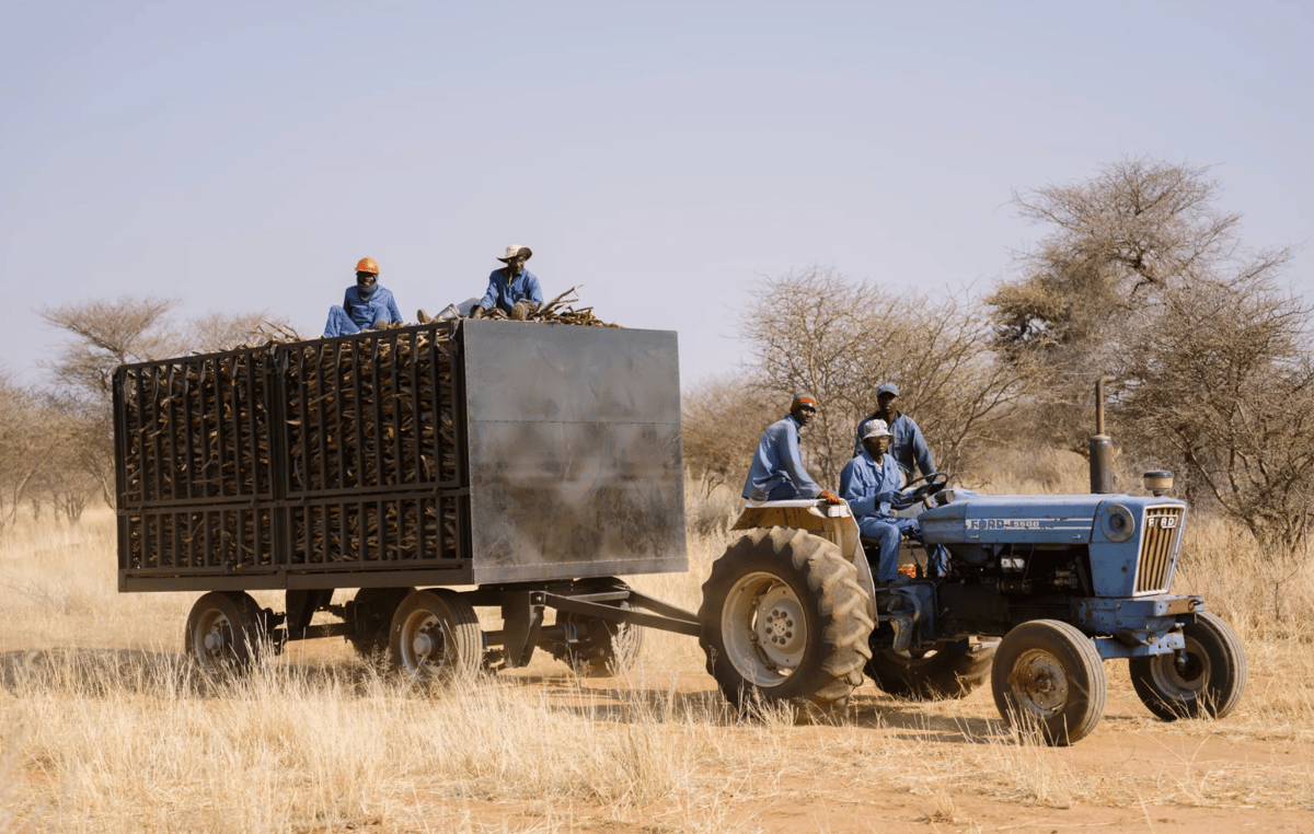 Screenshot 2025-01-21 at 4.53.32 PM