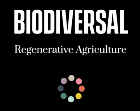 Screenshot 2025-04-23 at 3.13.02 PM